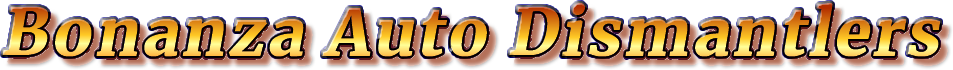 bonanza3